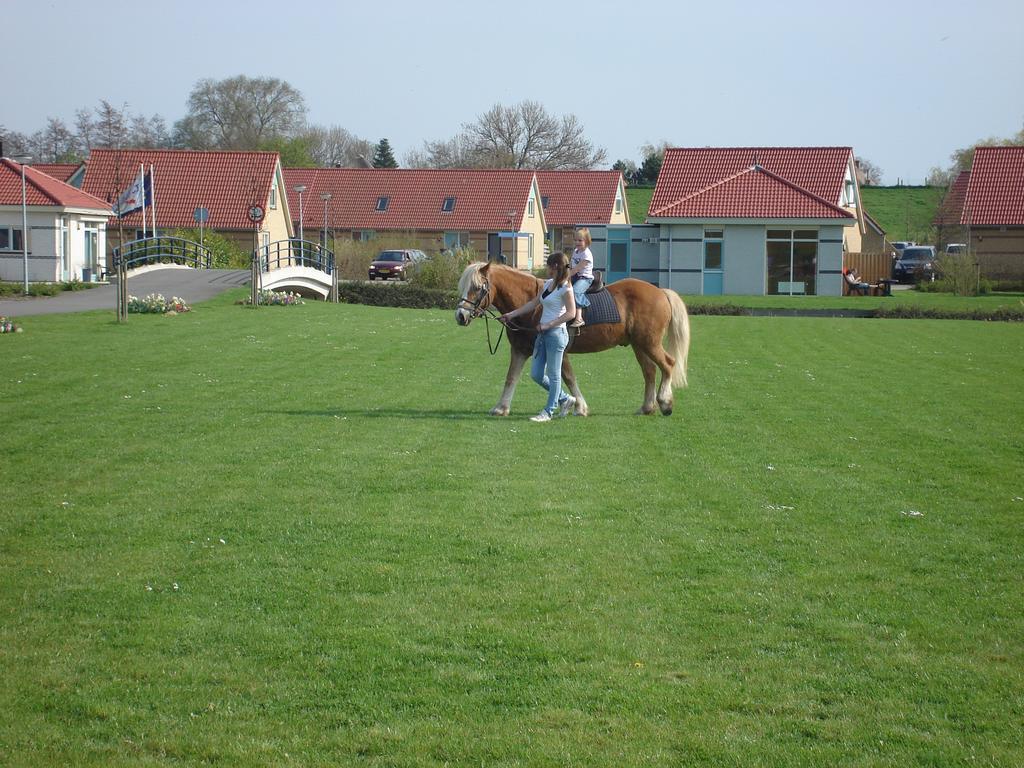 Ijsselhof Villa Type Medemblik 6 Andijk Dış mekan fotoğraf