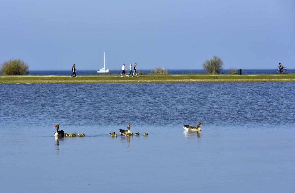Ijsselhof Villa Type Medemblik 6 Andijk Dış mekan fotoğraf